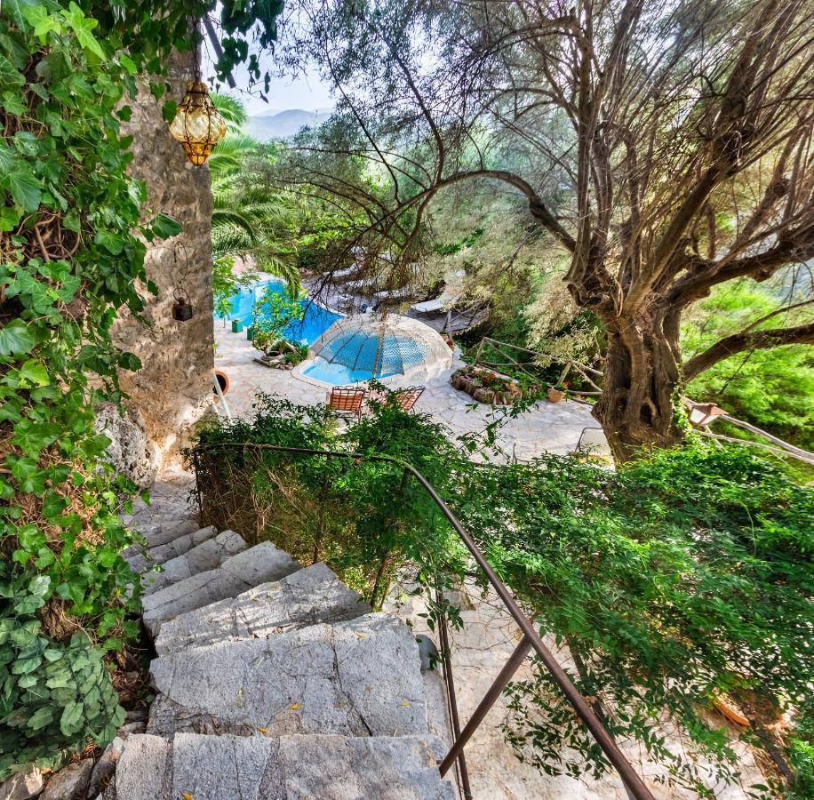 אפרטהוטל Katouna Pavezzo Country Retreat מראה חיצוני תמונה
